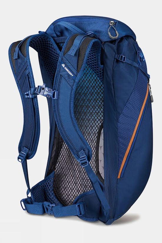 Gregory Arrio 24 Daypack