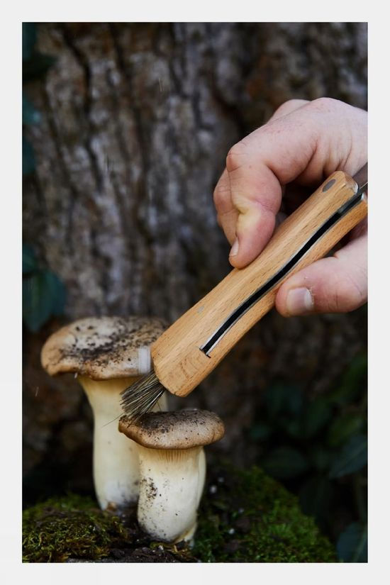  Gentlemen's Hardware Foraging Knife