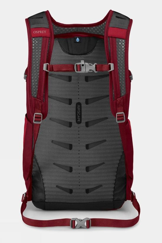  Osprey Daylite Plus Daypack
