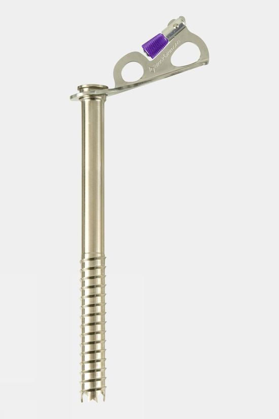 Black Diamond Express Ice Screw - 22cm