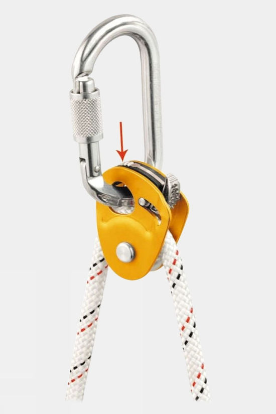Petzl Micro Traxion