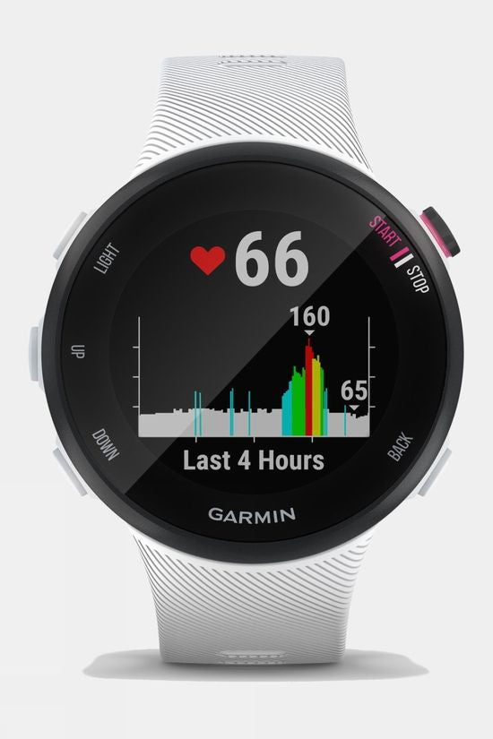  Garmin Forerunner 45 Watch