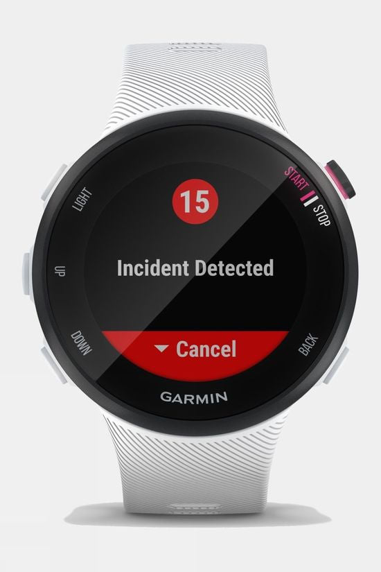 Garmin Forerunner 45 Watch