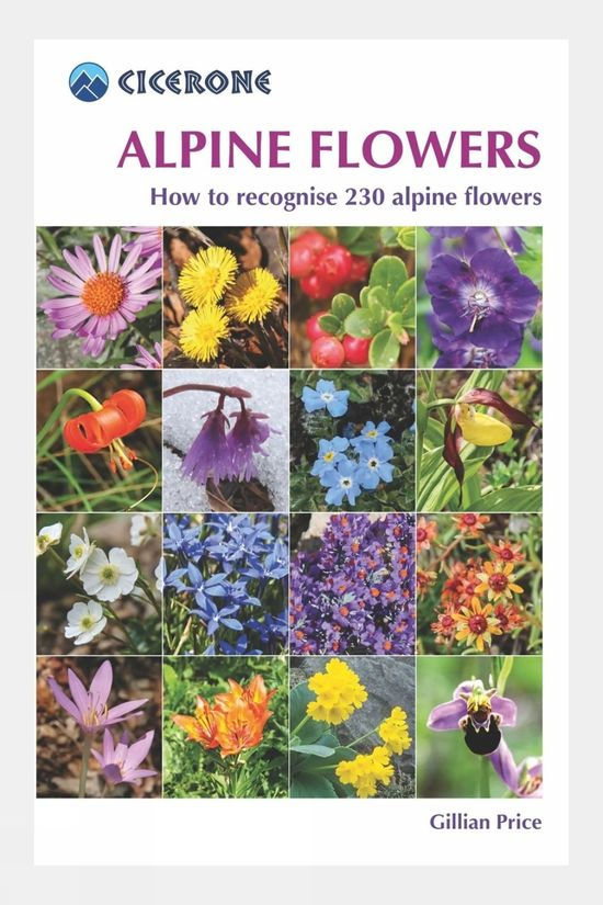  Cicerone Alpine Flowers